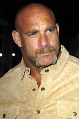 BillGoldbergPicture.jpg